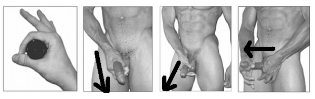 exercises to increase penis size stretching